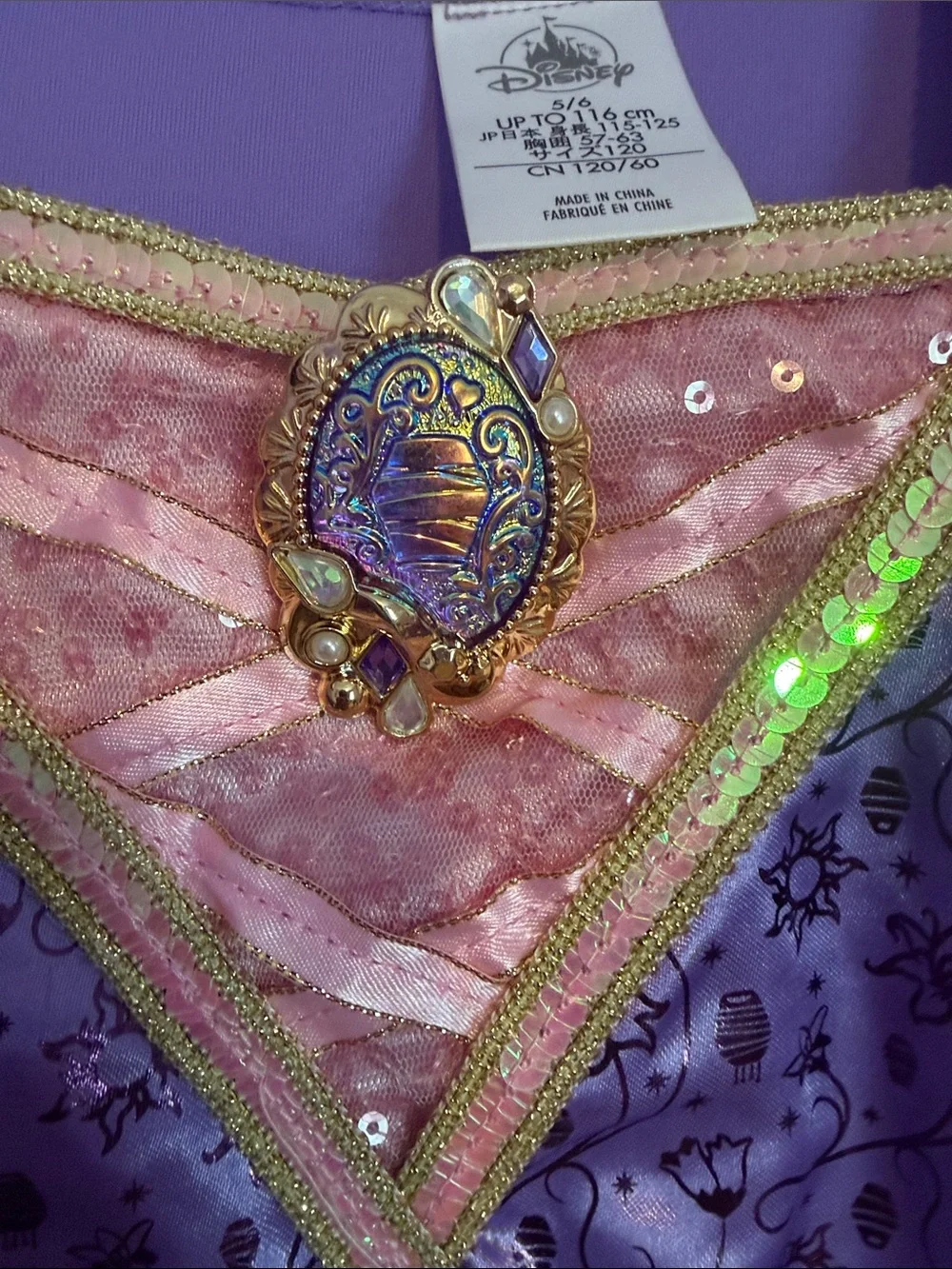 Rapunzel Purple & Pink Princess Costume Dress with Gem Accent